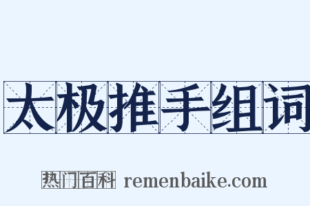 太极推手组词是什么意思的图片